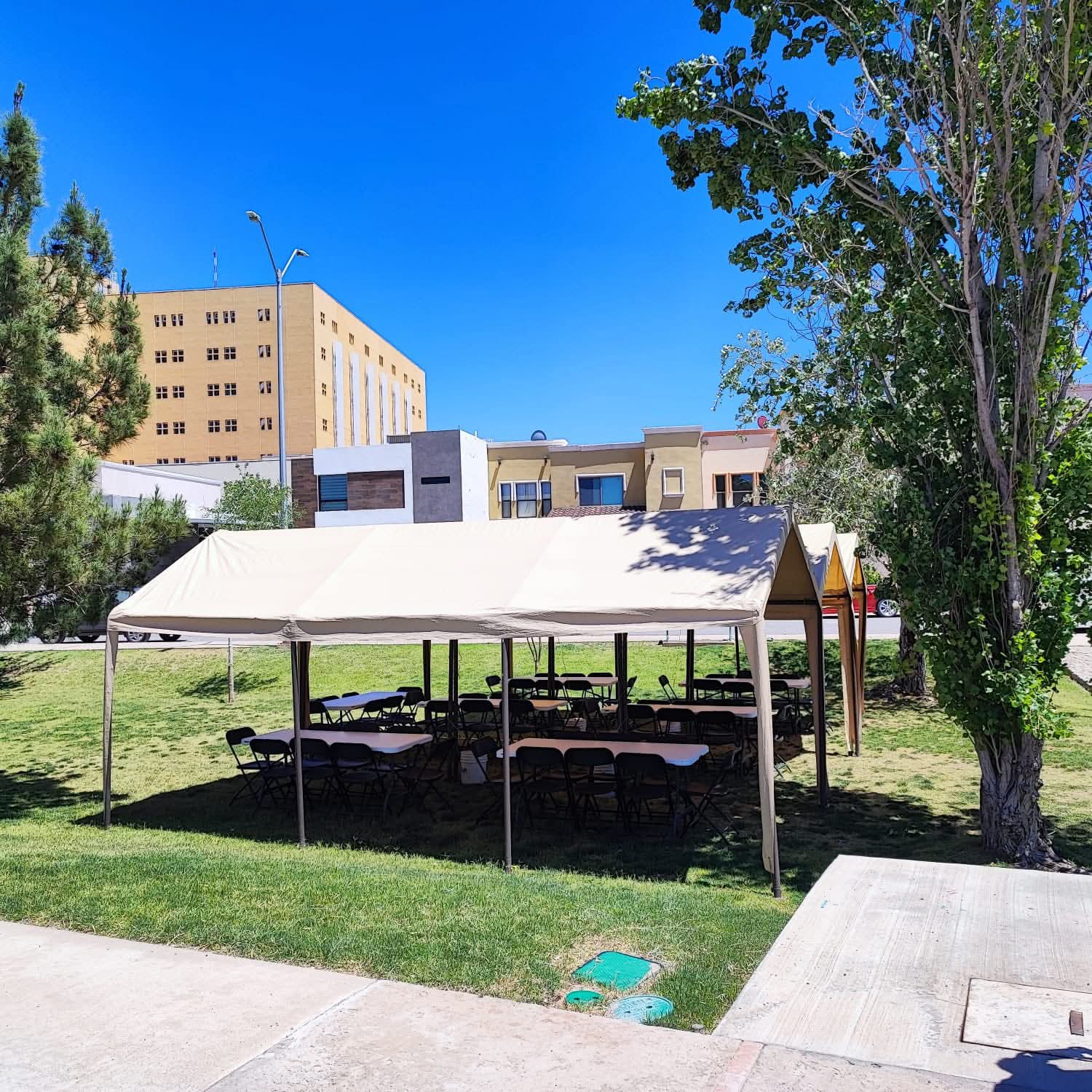 Carpas 3x6 mts - Imagen 8