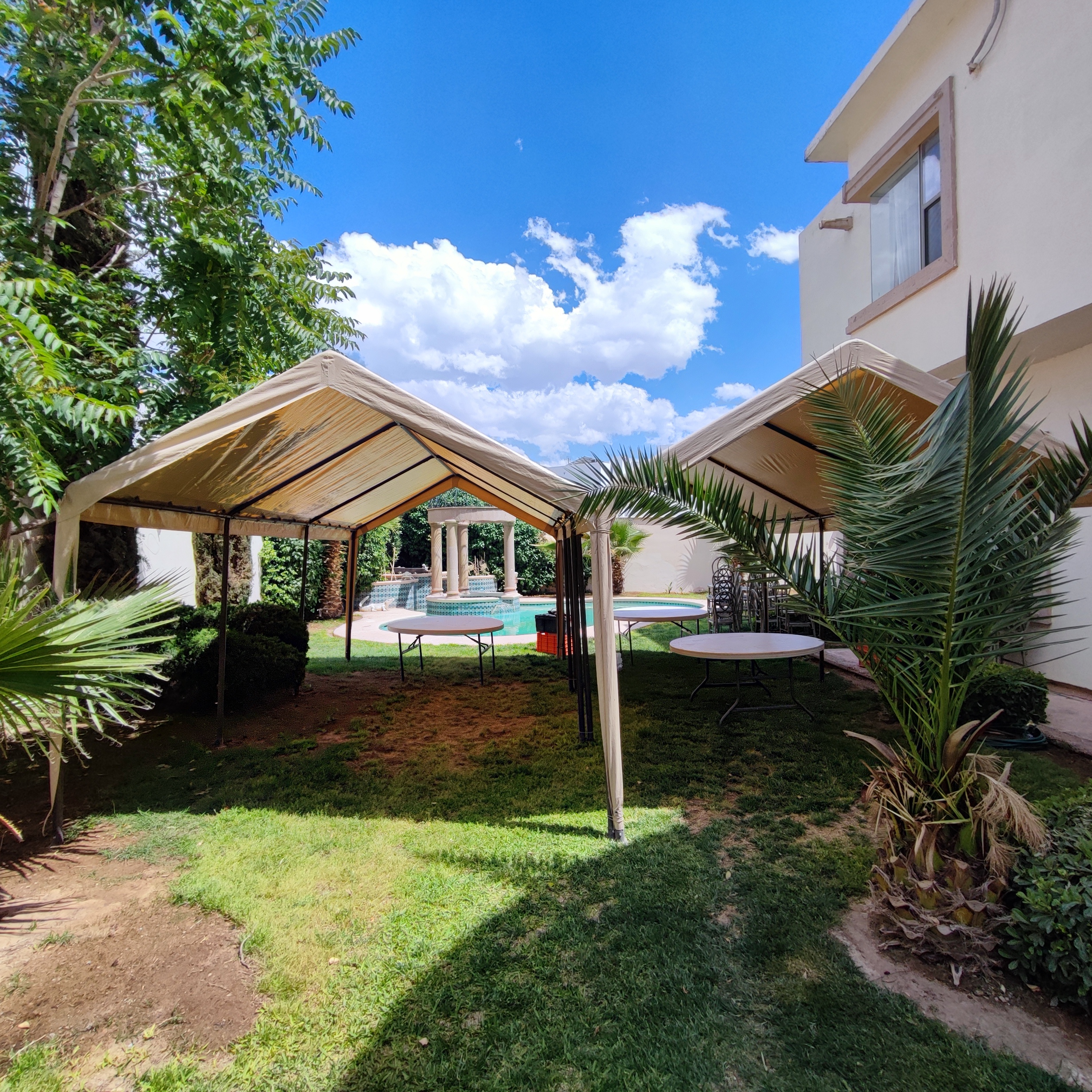Carpas 3x6 mts - Imagen 5