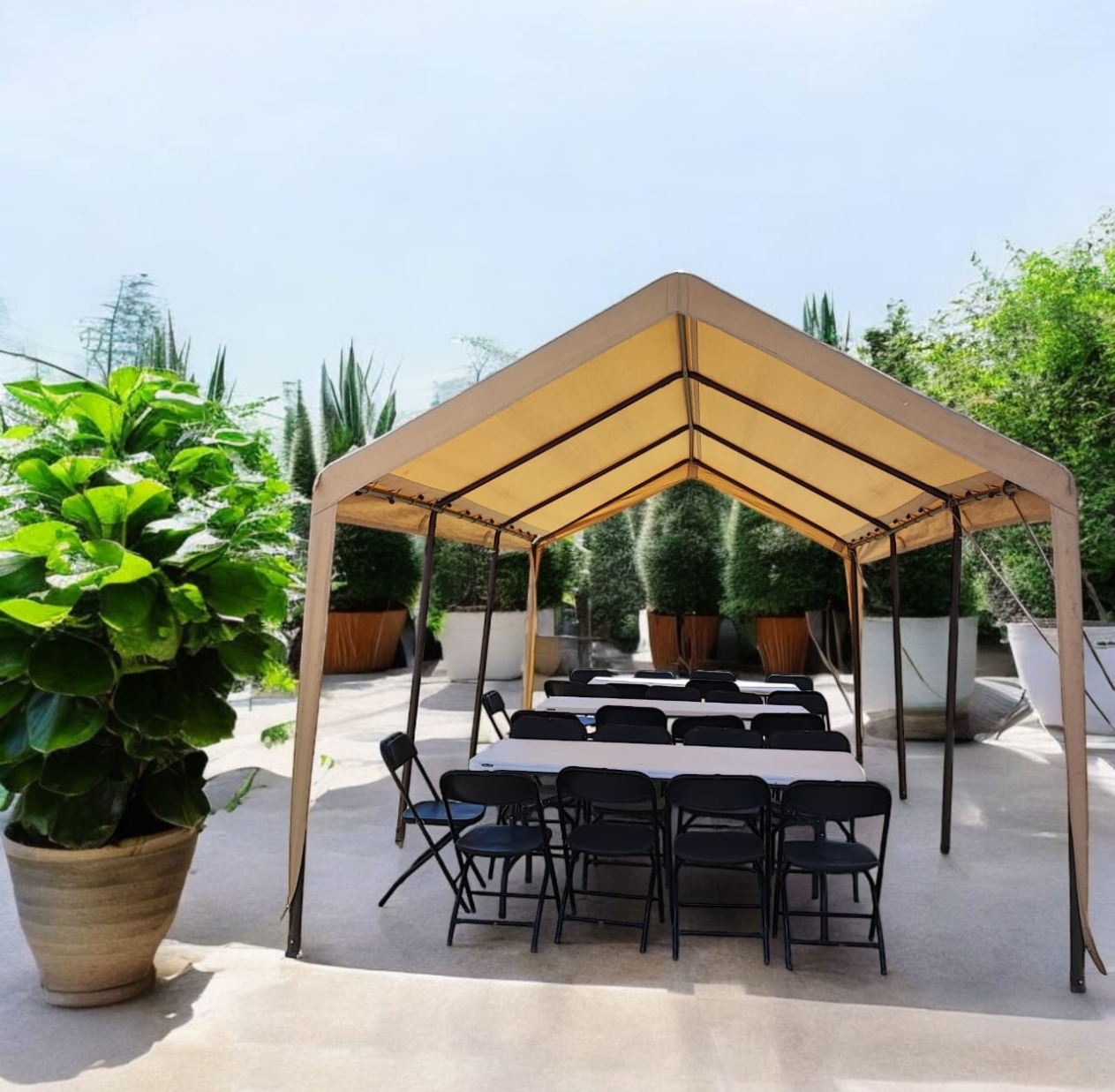 Carpas 3x6 mts